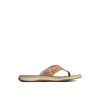Baitfish Flip Flops