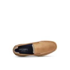 Intrepid Loafer