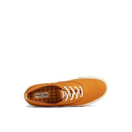 Seacycled™ Striper II CVO Sneaker