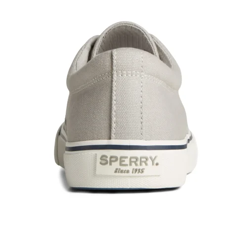 Striper II Canvas CVO Sneaker