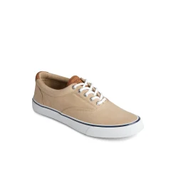 Striper II CVO Sneaker