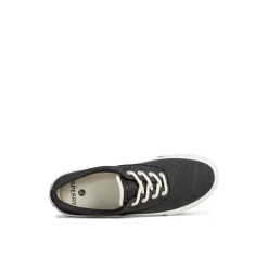Striper II Linen CVO Sneaker